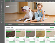 Ламинатный двор